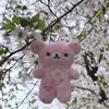 Peluche Rilakkuma Edizione Sakura Orsetto Rosa Morbido Giocattolo Morbido Bambola Fiore di Ciliegio Carina Cuscino Cuscino Orsacchiotto Regalo Per Bambini
