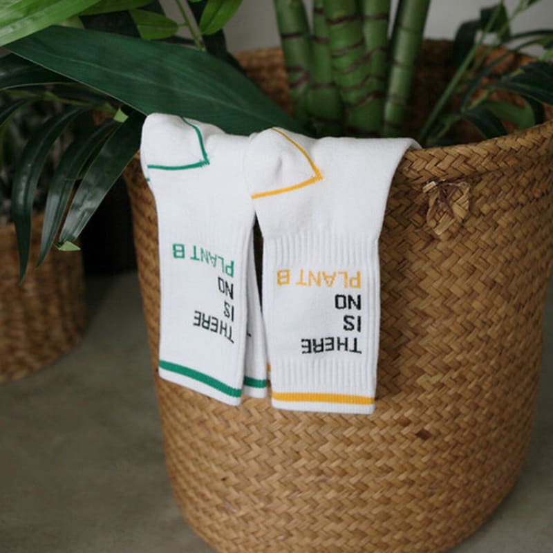 Bananasisters Environmental Donation Plan B Lettering Socks_2color