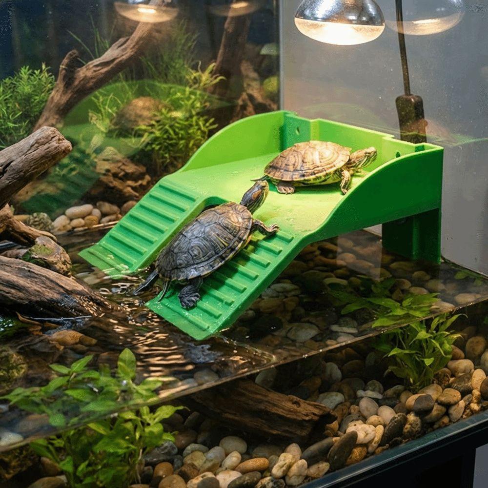 Plastic Turtle Climbing Ramp with Suction Cups Reptile Terrace Feeding Platform Aquarium Decor