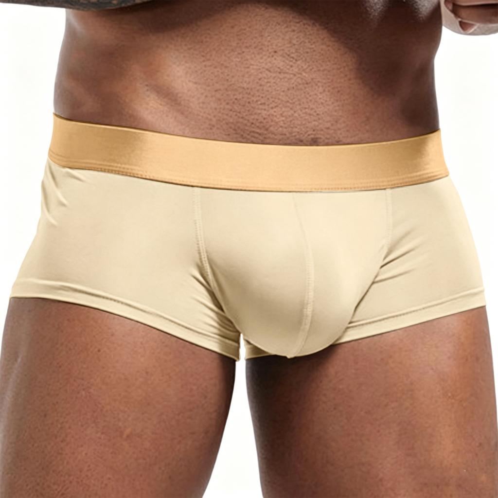 Men's Seamless Ice Silk Underwear Sexy Briefs