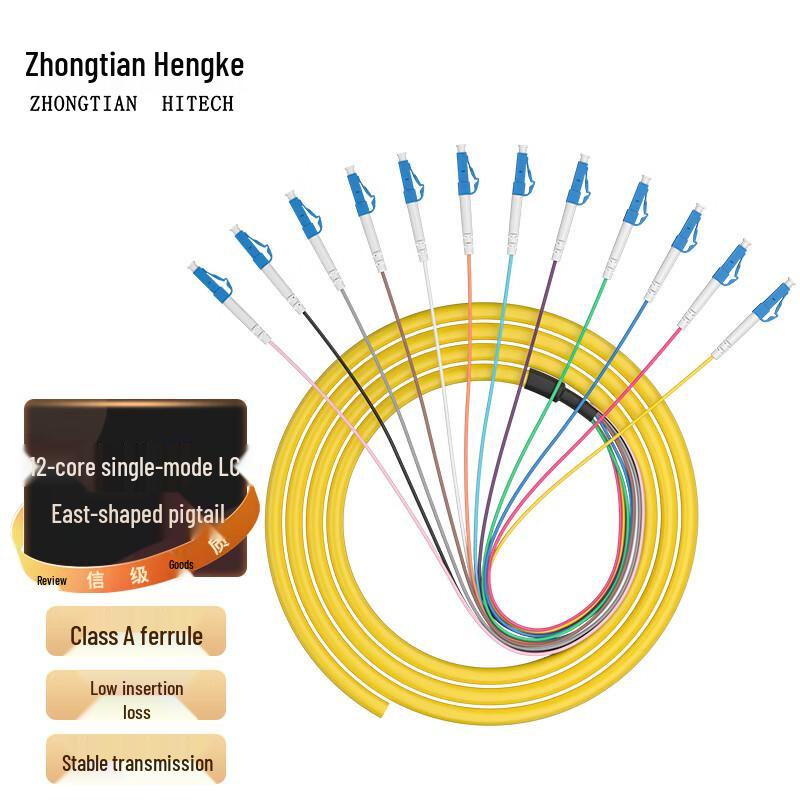 Zhongtianhengke 12-Core Fiber Optic Bundled Pigtail