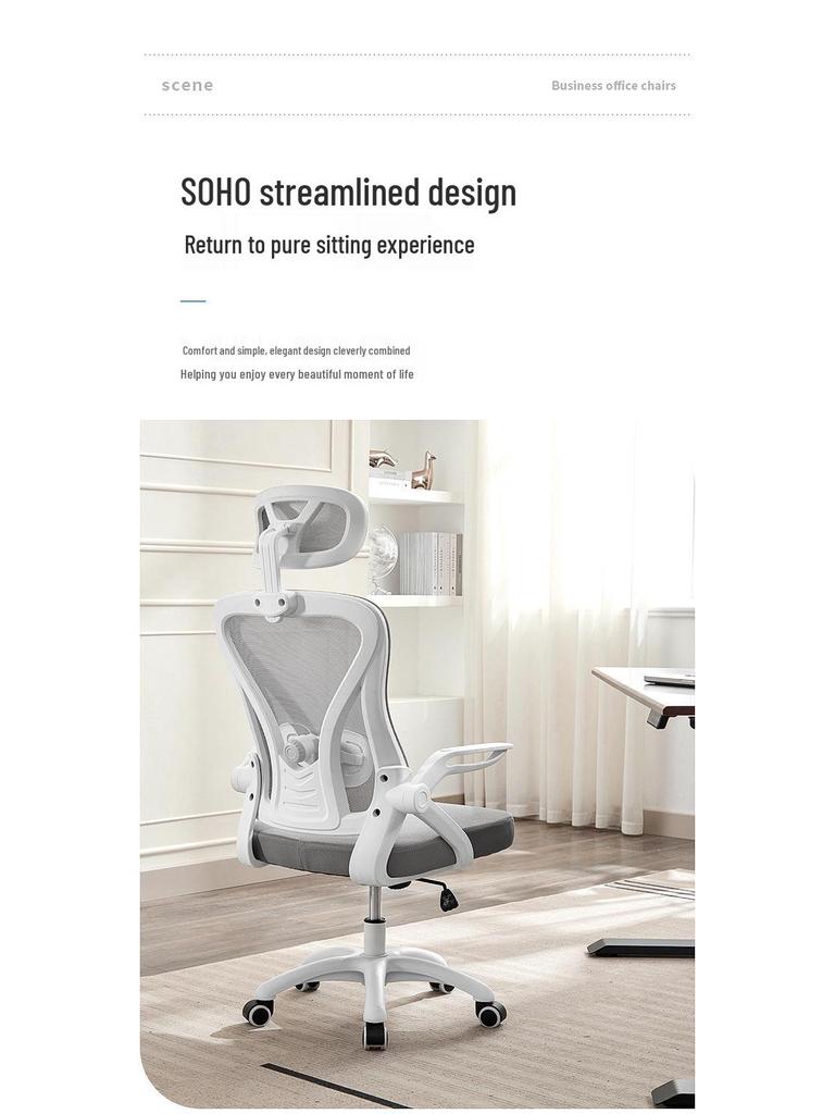Ergonomic Study & Office Chair: Comfortable, Reclining, Adjustable—Stay Energized During Long Sessions