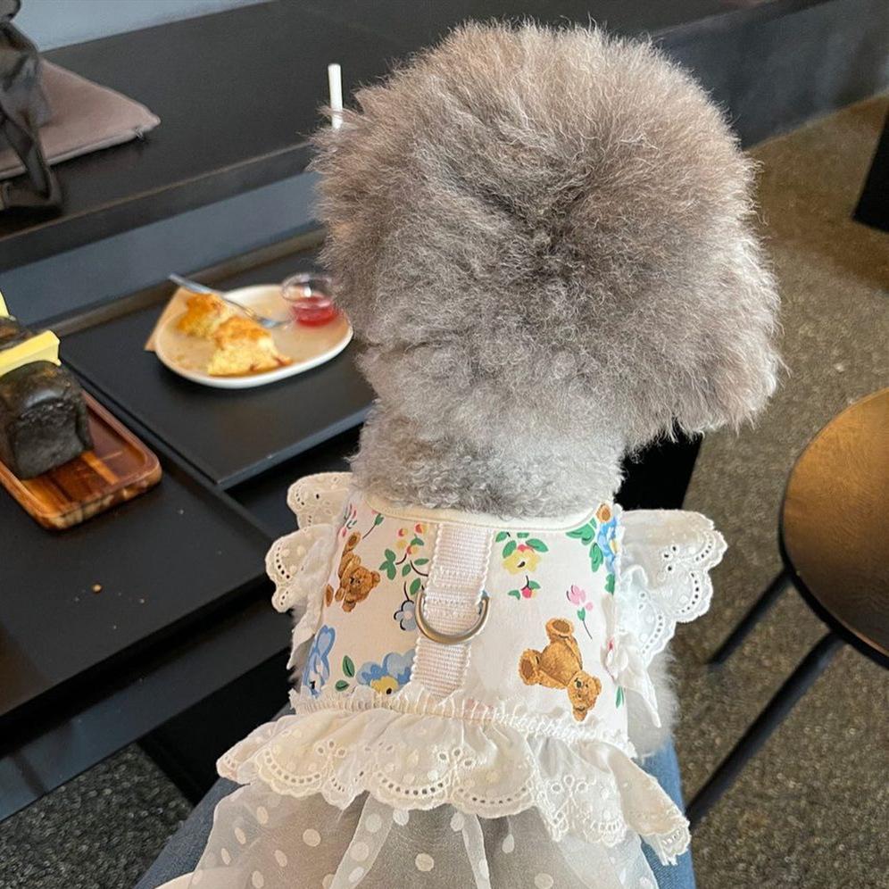 Professional Dog Cat Harness Leash Set Adjustable Lace Floral Pet Harness Vest Cute Puppy Dog Princess Dress Skirt Walking Lead Chihuahua