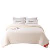 Couette en Coton Naturel Épaissi - 100% Coton du Xinjiang, Gaze, pour Automne & Hiver