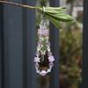 Sweet Butterfly Flower Keychain Mobile Phone Anti-Lost Lanyard Bag Charms Versatile  Keychain Pendant Backpack Decoration