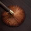 Ebony pot pen does not shed hair Solid wood tea brush tea pen tea brush tea tray tea accessories tea table cleaning