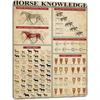 Vintage Horse Infographic Metal Sign Home Kitchen Decor Wall Art