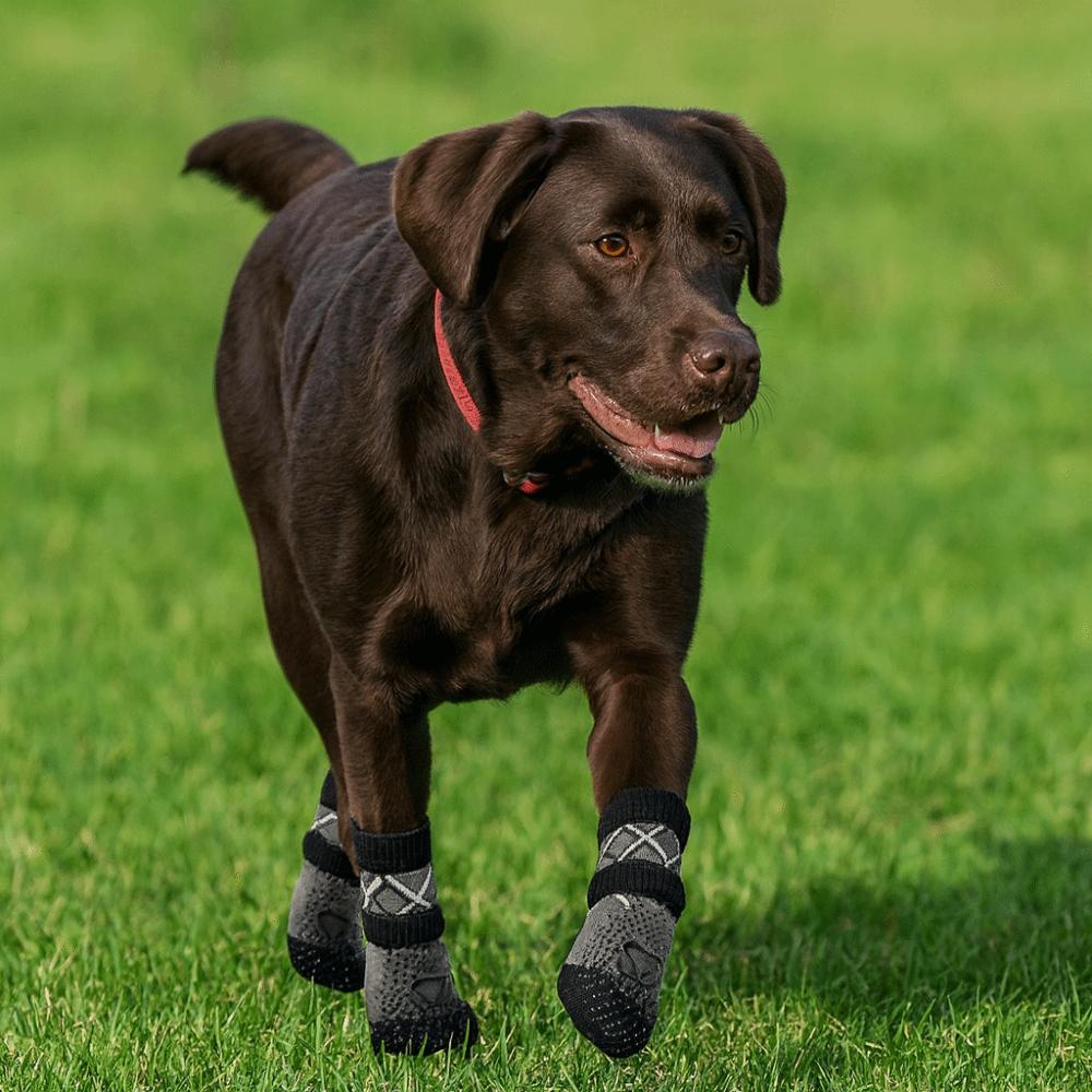 4pcs/set Thickened Anti-Slip Dog Socks Breathable Pet Paw Protector Puppy Warm Sock  Outdoor Use