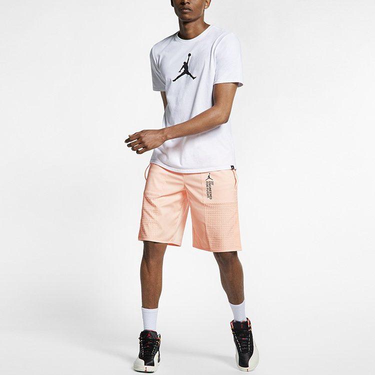 Jordan 23 Engineer Casual Shorts Men's Dusty Pink Moderate AJ1068-814