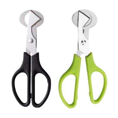 Rostfreie Wachteleierschere aus Stahl mit ergonomischem Griff zum Trennen von Wachteleiern für einfaches und sauberes Eierschneiden