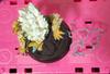 [USED] Monster Hunter Monster Hunter Figure Jinouga (Super Charged State)