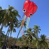 Easy Fly Octopus Kite Outdoor Fun Sports Beach Kids Children Buitenspeelgoed Cometas De Viento Outdoor Toys Kites