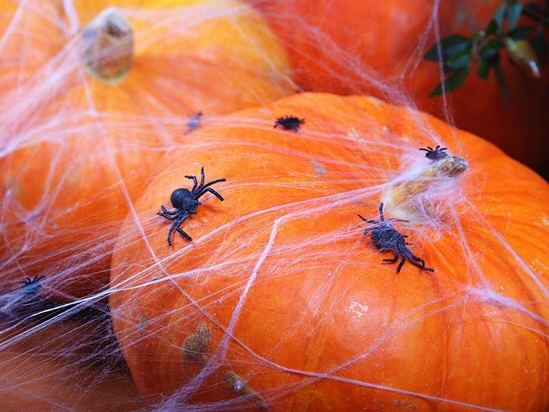 Halloween Set 1 Pc