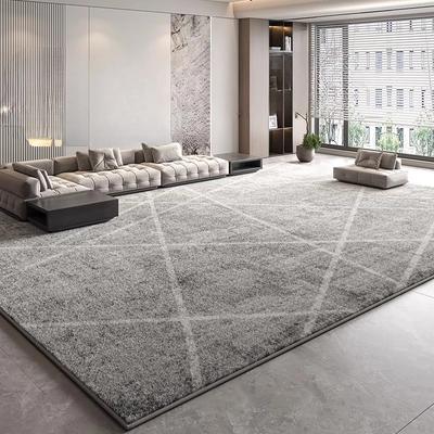 Modern Style Bedroom Decor Plush Carpet Large Area Carpets for Living Room Thick Washable Lounge Floor Mat Fluffy Soft Study Rug