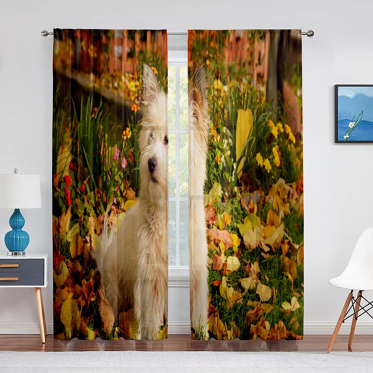 

Вест-хайленд-уайт-терьер милый Вести-дог прозрачные шторы для гостиной спальни украшения тюля вуали занавески драпировки 1 PCS W100XH250cm&Grommet Top