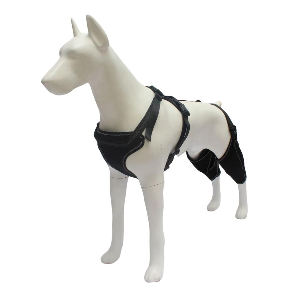 Nastavitelná ortéza na psí nohy předchází zraněním a poskytuje teplo pro zotavení proti olizování, pomáhá při hojení.