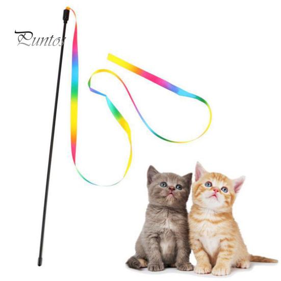 2 stk Cat Stick Interactive Toy Tosidig Rainbow Webbing Tease Ripebestandig Bittbestandig Underholdende Cat