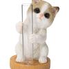 Ubia Brown Tabby and White Cat X X Animal Garden Vase, 5.5 5.5 8.5 Cm, Figurine, Ornament, Decor, Cat, H22166-A
