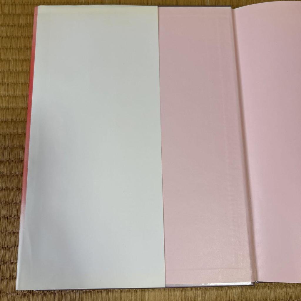 [USED] Sailor Moon Art Book vol.2 + Illustrations with Files