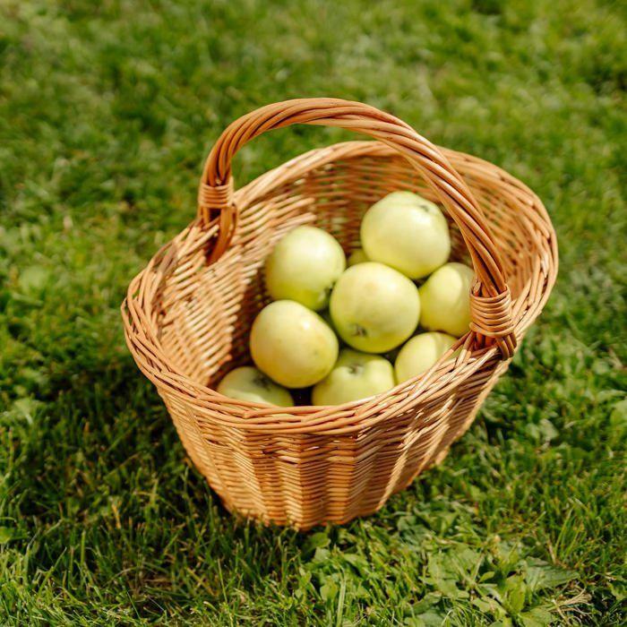 Panier en osier - CREATIVE HOME - 32 x 24 x 29 cm - Marron - Artisanal - Adulte