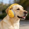 Paraorecchie a Forma di Orecchie di Cane Protezione dell'Udito Cuffie Cancellazione del Rumore per Animali Domestici Paraorecchie Rilassanti per Toelettatura Animali Domestici e Sollievo dall'Ansia