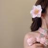 Vacation Style Headwear Flower Hairpin Korean Style Bohemian Style Hair Clip  Women