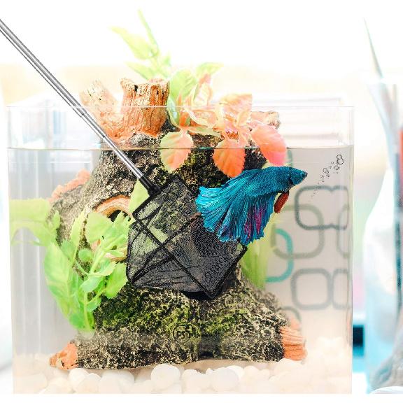 2 Pieces Fish Tank Net Aquarium Mesh Fish Net Long Handle Fish Net with Extendable 12.5-27.5 Inch Stainless Steel Catch Nets for Fish Tank Aquarium