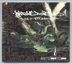 

CD VARIOUS - Strike A Nerve Mixed By ... D.J.Ken KSCD018 Gold Finger Pro 1999 Japan Rap & Hip-Hop/R&B Used