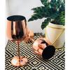 Stainless Steel Stemmed Wine Glasses, Shatter Proof Copper Coated Unbreakable Wine Glass Goblets,Premium Gift for Men