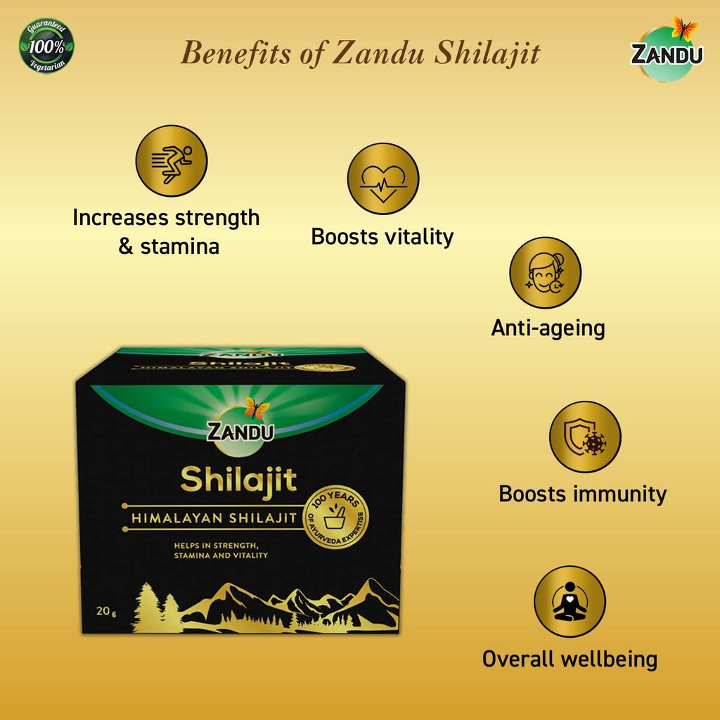 Zandu Pure Himalayan Shilajit Resin 20g Pack of 1 Natural Ayurvedic Energy Booster for Strength & Stamina