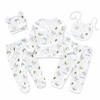Newborn Essentials: Maternity Ward Hospital Bag, Baby Outfit Set, Gift Set, Gift Box for Newborns, 5-Piece Set of Pure Cotton Clothes