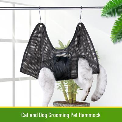 Gatos – Cuidados de gatos
