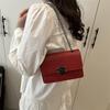 2025 Spring New Chain Small Square Bag Street Trend Stone Pattern Messenger Women's Bag Fashion Zipper Buckle Square Bag