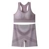 New Style Quick-Drying Hip-Lifting Yoga Pants and Sports Bra Set - European and American Design