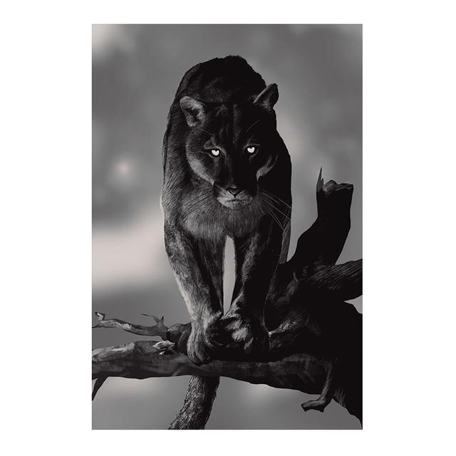 Black leopard canvas, painting, modern wall art, posters with animals and prints, painting for decorating the living room, painting without frames
