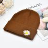 New Daisy Embroidery Beanie Autumn Winter Soft Warm Knitted Cap Men Women Unisex Cap Hats Ski Caps Beanies