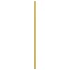 Furniture Handles 10 Pcs Golden 320 Mm Stainless Steel
