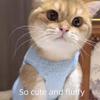 Cute Cat Sweater Cartoon Thickened Pet Clothes Warm Fleece Soft Teddy Bichon Vest for Puppy Cats