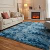 50/160/230CM Carpets Super Soft Fluffy Plush Carpet Gradient Color Furry Large Shaggy Rug Floor Mat For Living Room Bedroom