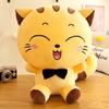 Cute big face cat plush toy doll throw pillow cat doll rag doll children's birthday gift