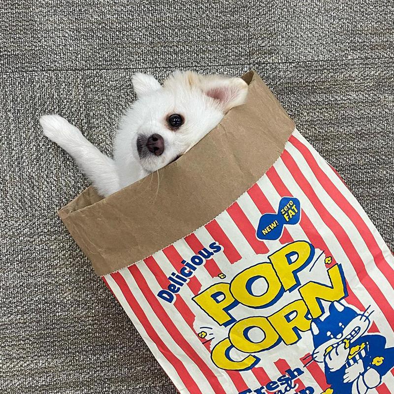 Creative Cute Hidden Food Pet Cat and Dog Kraft Paper Popcorn Paper Bag Puzzle Decompression Sound Chew Dog Toy