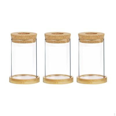 3 Glasbehälter für Pflanzenwachstum und Vermehrungsaufbau