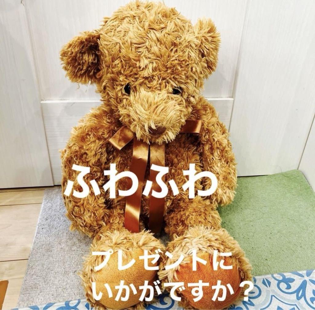 [USED] Final Price Plush Toy Bear Fluffy Teddy Bear Camel