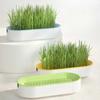 1Pc Hydroponic Cat Grass Box Treats Catnip Soilless Planting Pot Set for Easy Growth Soilless Cultivation Safety Material