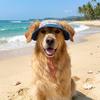 Adjustable Pet Sun Protection Denim Hat Checkered with Ear Hole Dog Fisherman Hat Lightweight Breathable Dog Visor Cap Outdoor