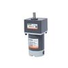 Ruidetai 90W 12V Micro Geared DC Motor