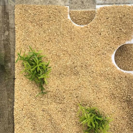 Yousheng Aquarium Corner Tunnel Fish Tank Hideout Cave Under Gravel Fish Hideout with Double Holes for Betta Shrimp Reptile Loaches