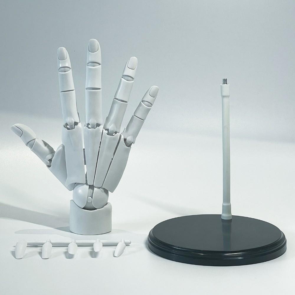 Left/Right Anatomically Accurate Jointed Hand Simulation Sketching Painting