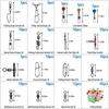 180Pcs Fishing Swivels Accessories Kit Barrel Swivels Ball Bearing Swivels Fishing Snap Swivels Sinker Slide Connector Tools