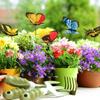 50 Stück Schmetterlingsstäbe Bunte Simulationsschmetterlinge für den Außenbereich Garten Hof Pflanze Blumentopf Frühlingsgartendekoration 25*4cm